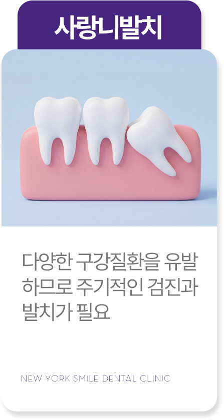 심미치료