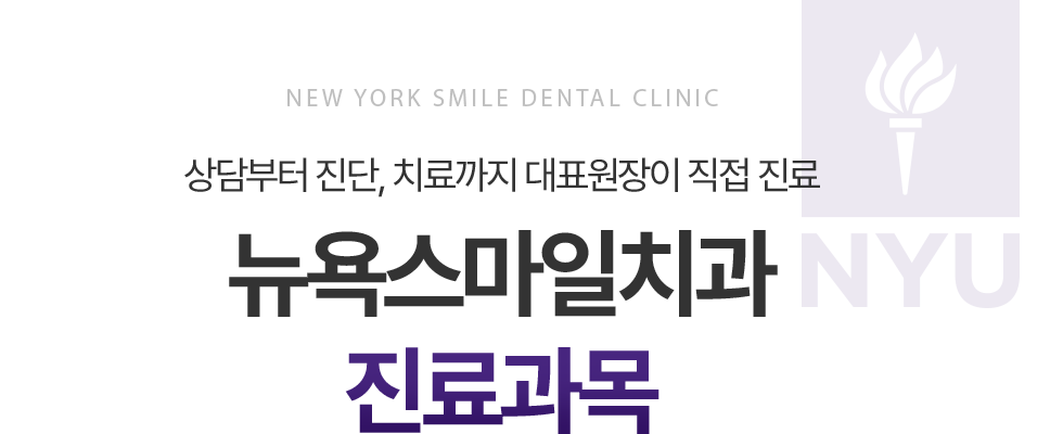 뉴욕스마일치과 진료과목