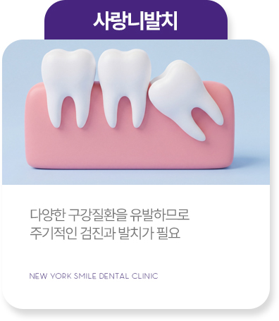 심미치료