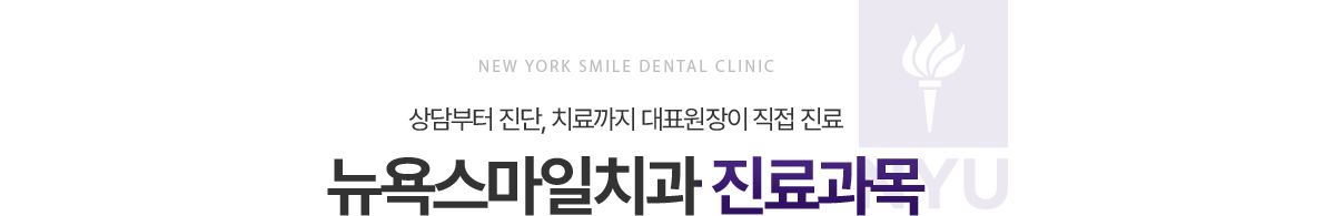 뉴욕스마일치과 진료과목